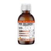 Pure Collagen + - Formule liquide