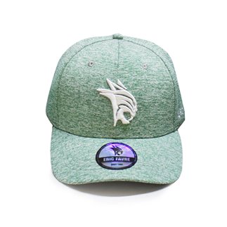 Basic Cap (Green / Adult)